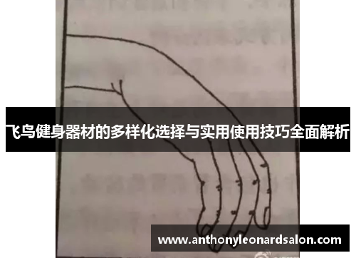 飞鸟健身器材的多样化选择与实用使用技巧全面解析