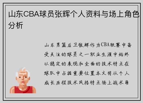 山东CBA球员张辉个人资料与场上角色分析